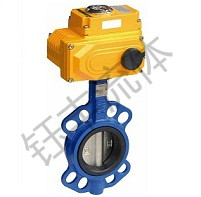 電動(dòng)軟密封蝶閥