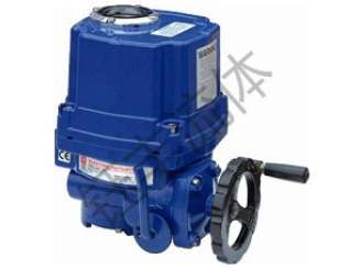 防爆電動(dòng)執(zhí)行機(jī)構(gòu)