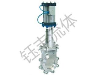 氣動(dòng)對(duì)夾式刀形閘閥