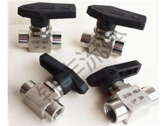 304不銹鋼內(nèi)絲針型閥